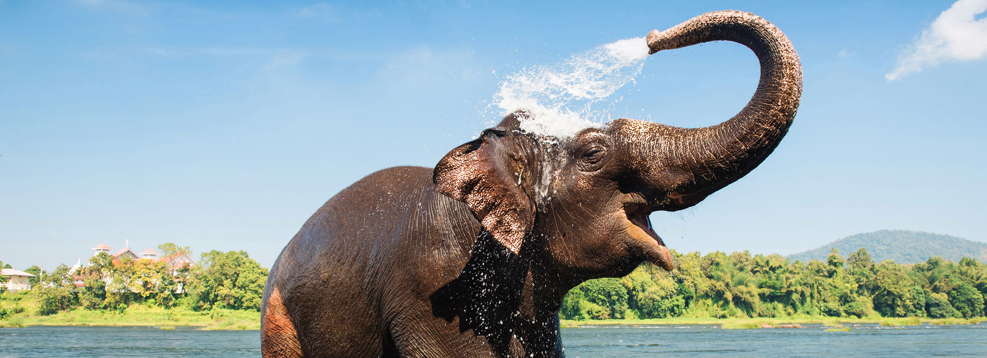 India, Nepal & Sri Lanka