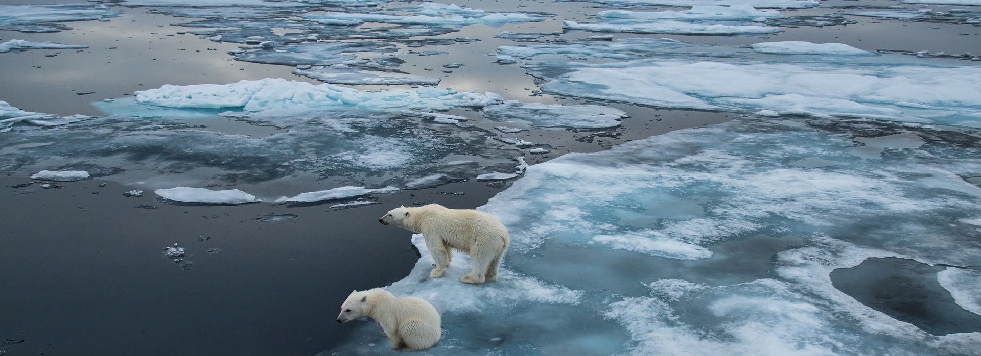 Ends of the Earth banner